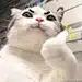 ´๑小赞✧