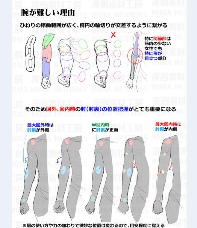 「腕の回転：回内と回外の筋肉変化と肘関節...