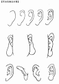 人物鼻子眼睛眉毛耳朵五官的画法手稿图学习资_漫品狗_MG动画短片素材_flash源文件_动漫矢量图免费素材网