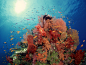 General 1600x1200 underwater sea