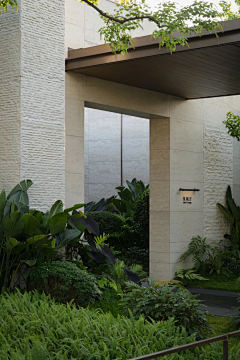 maystacey采集到示范区