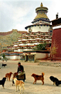 Pelkhor Chode , Gyantse Tibet