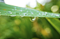 Photograph After the rain by Emily Gunther on 500px