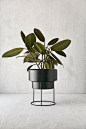 Slide View: 1: Noa 8" Metal Planter + Stand