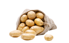Micah采集到S 蔬菜 瓜果 (素材)