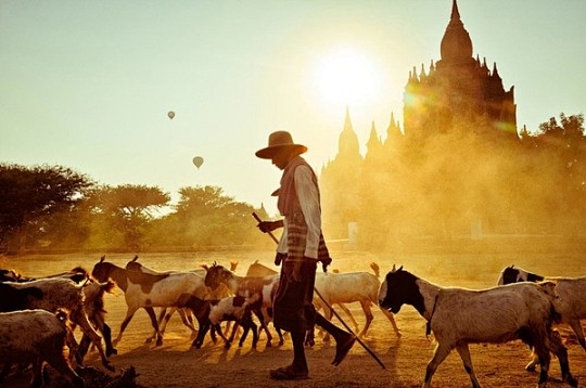 Balloons over Bagan.