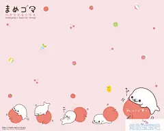 【高清壁纸】可爱海豹宝宝壁纸 1024x768