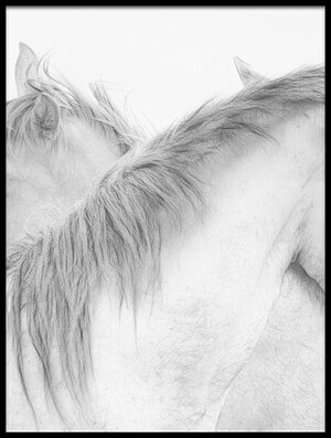 Art print titled Hor...
