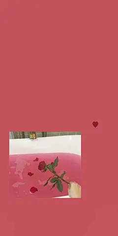 @你看那是岸_朱夫人（由于壁纸有一部分自制，所以转壁纸请加关注注明出处，蟹蟹）平铺，可爱，女王范，黑色，黑白，白色，锁屏，ins风，潮，御姐，动漫，卡通，风景，古风，流行，欧美，情侣壁纸