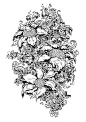 插画设计 Kerby Rosanes ​​​​