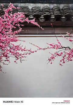 我看到的VS我拍到的｜南京春日壁纸限时上新 - 小红书