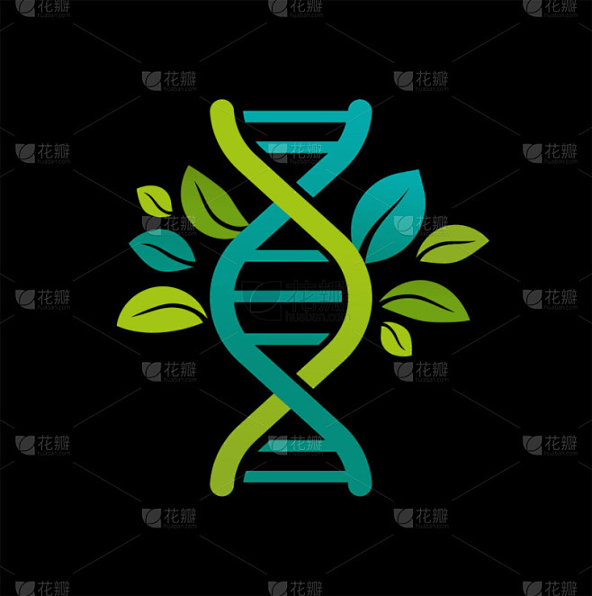 Dna 与叶子的树