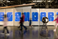The Exploratorium: Inflatable Summer Campaign