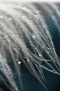 创美乐家居生活馆精选手机壁纸-锁屏壁纸-手机墙纸-手机屏幕背景-安卓壁纸-苹果壁纸-三星壁纸-小米壁纸-高清-摄影-美图