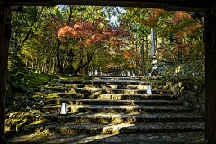 NA-ZI采集到[ 参考 ]_实景场景