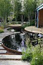 RBC New Wild Garden designed by Nigel Dunnett and the Landscape Agency
