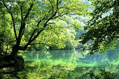 蓝湖,水,公园,水平画幅,无人,风险,户外,湖,俄罗斯,植物