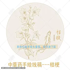 桔梗 手绘桔梗 药材 医草 手绘植物花草 手绘中草药 草药 中草药包装插画 桔梗包装插画 草本植物 中草药 中药 本草纲目 百草集 手绘桔梗 线描插画
