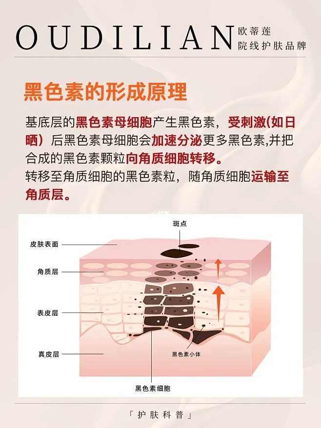1️⃣篇get如何抑制你的黑色素‼️秒变...