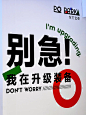 别急!一大波新品牌来袭!!! - 小红书