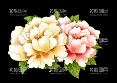 手绘国潮鲜花  - 源文件下载【酷图网】手绘国潮鲜花,国潮鲜花,手绘鲜花,古典鲜花,鲜花,古风鲜花,中国风鲜花,手绘古风鲜花,手绘古典鲜花,鲜花插画,手绘鲜花插画,国潮鲜花插画,中国风,鲜花素材,
