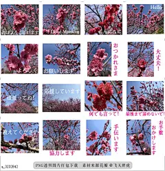 @飞天胖虎 line贴图表情包贴纸[编号3232842]In a heart a flower.7  I send words used by daily life with a peach blossom pho