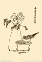 芥子园画谱 翎毛大图 点击还原