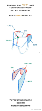 【春哥课堂】手臂肌肉到底怎么画？（理解+练习） : 本期关键词：手臂运动规律、生长点、夹子、圆柱......（春哥课堂是一组条漫绘画教程，为大家的人体绘画学习提供简单的参考。） 上节课躯干的链接戳这里：人体躯干肌肉到底怎么画？（比例+穿插关系） - 画画的春哥…