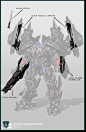ab_cat_concept_prime30