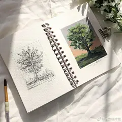 来自分享