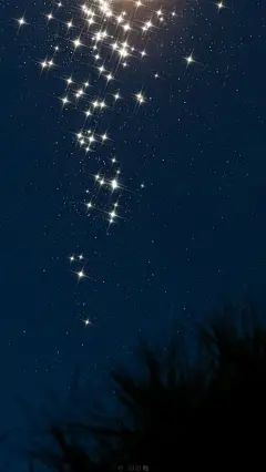 惟愿你，
乘兴奔赴前路，归时共饮樽酒。 
十二月，新手机壁纸，送你们。 ​​​​