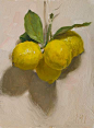 16cm x 22cm, oil on board Painting status: SOLD Daily painting for Saturday 29 November, 2014  daily painting titled Lemons - click for enlargement: