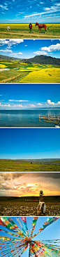【大美青海】蔚蓝的天，碧绿的湖水，皑皑的雪山，一望无垠的金黄色花海，大美青海，一段美好无比的回忆!