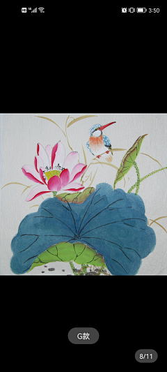 暖小姐-Daisy采集到国画