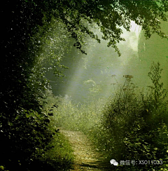 薛景插画采集到风景