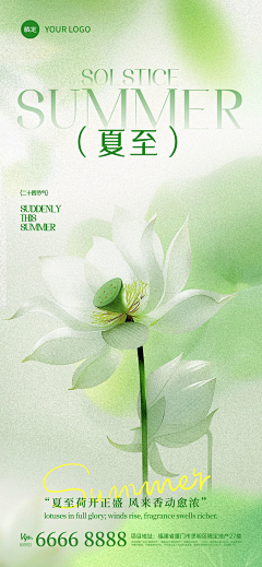 WYing-A采集到24节气