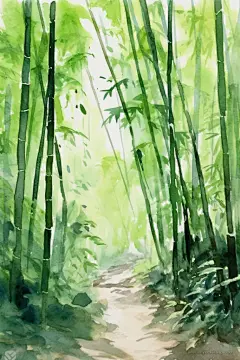 清新中国风竹子竹林自然风景插画