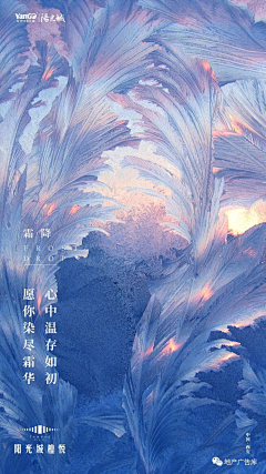 莫-梵采集到地产二十四节气