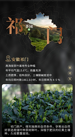 果冻℃采集到电商-茶-红茶