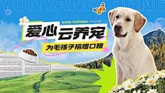 宠物救助宣传横版视频封面