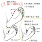 #设计秀#动漫脚部的绘画参考，非常详细的讲解及分析，自己收藏，转需~#SAI资源库#