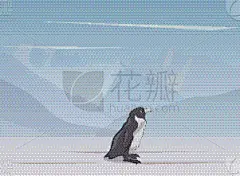 草图,企鹅,彩色图片,可爱的,动物,鸟类,蜘蛛网,南极洲,着色,剪影