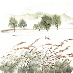 想什么好采集到贴纸素材PNG