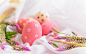 pink-easter-eggs-spring-purple-flowers-easter-pink-fabric-easter-background