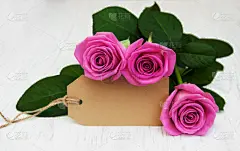 贺卡,玫瑰,水平画幅,标签,生日,花束,过时的,情人节卡,母亲,复古风格