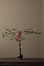 插花根据一定的构思来选材，遵循一定的创作法则，插成一个优美的形体（造型），借此表达一种主题，传递一种感情和情趣，使人看后赏心悦目，获得精神上的美感和愉快。来自：日本花艺大师Kawase Toshiro。