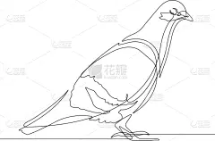 连续性,鸟类,线条,插画,一只动物,鸽子,轮廓,白色,黑色,直的