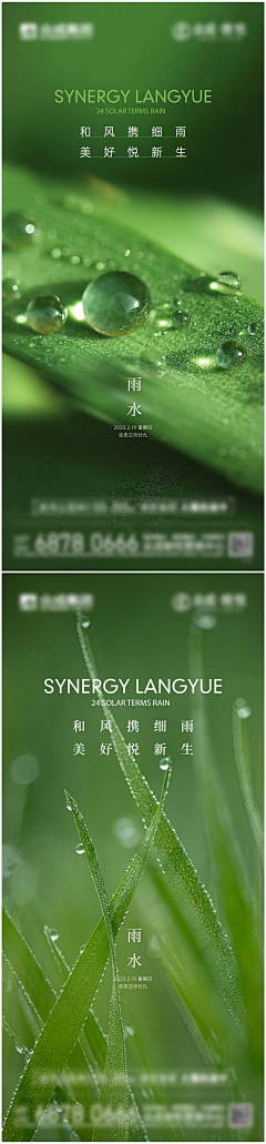 Ynan--采集到节气海报