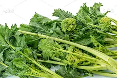 新鲜的萝卜头，快来油菜