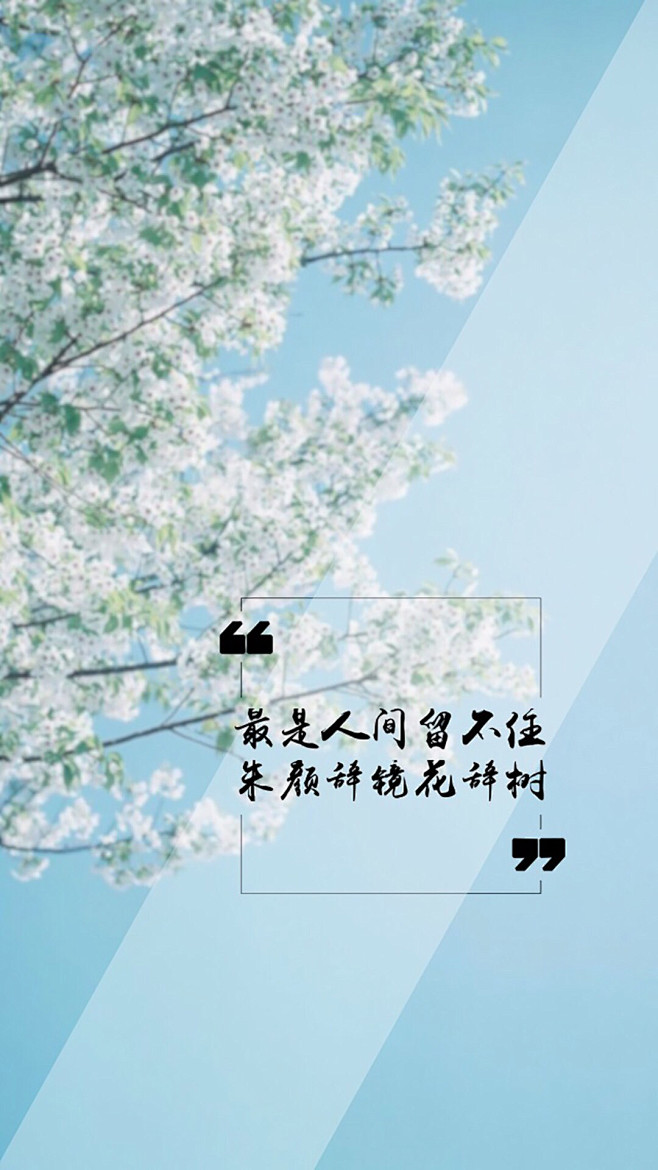 那被岁月覆盖的花开，一切白驹过隙成为空白...